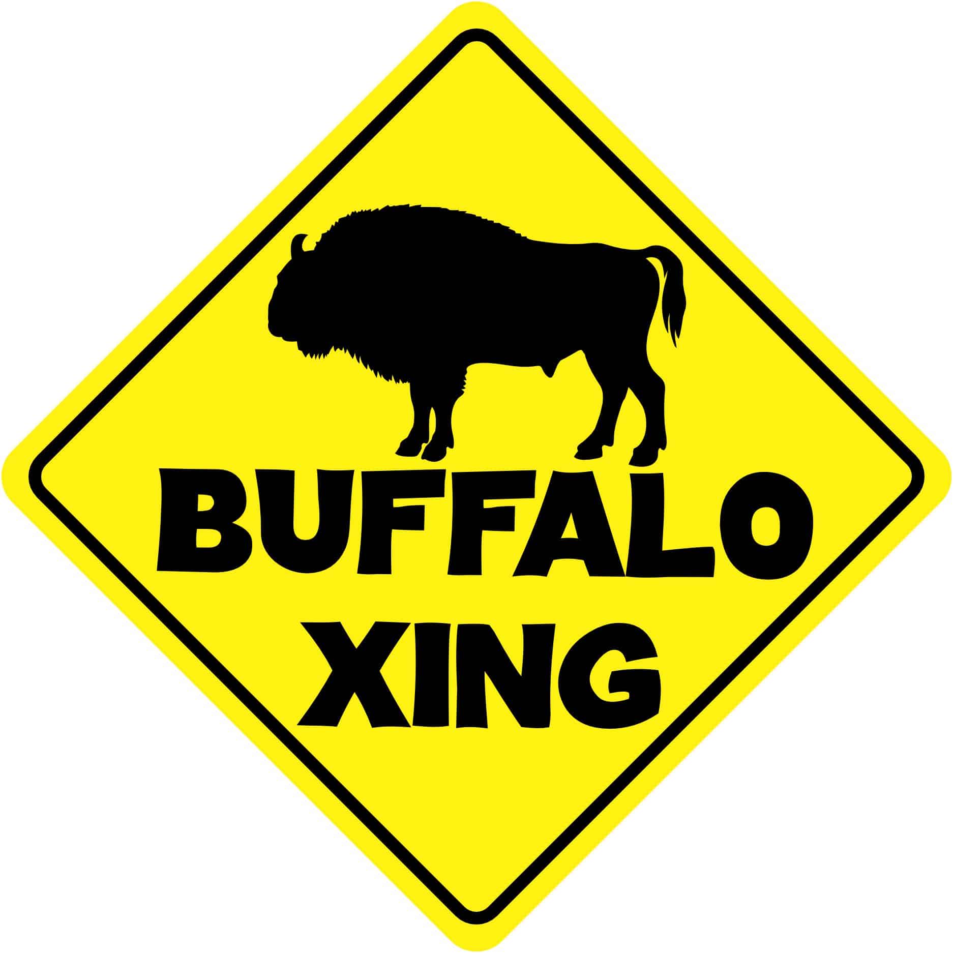 6in x 6in Buffalo Crossing Sticker