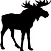 Bull Moose Silhouette sticker