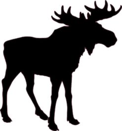 Bull Moose Silhouette sticker
