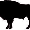 Buffalo Silhouette sticker