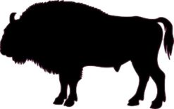 Buffalo Silhouette sticker
