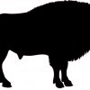 Right Facing Buffalo sticker