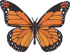Orange Butterfly sticker