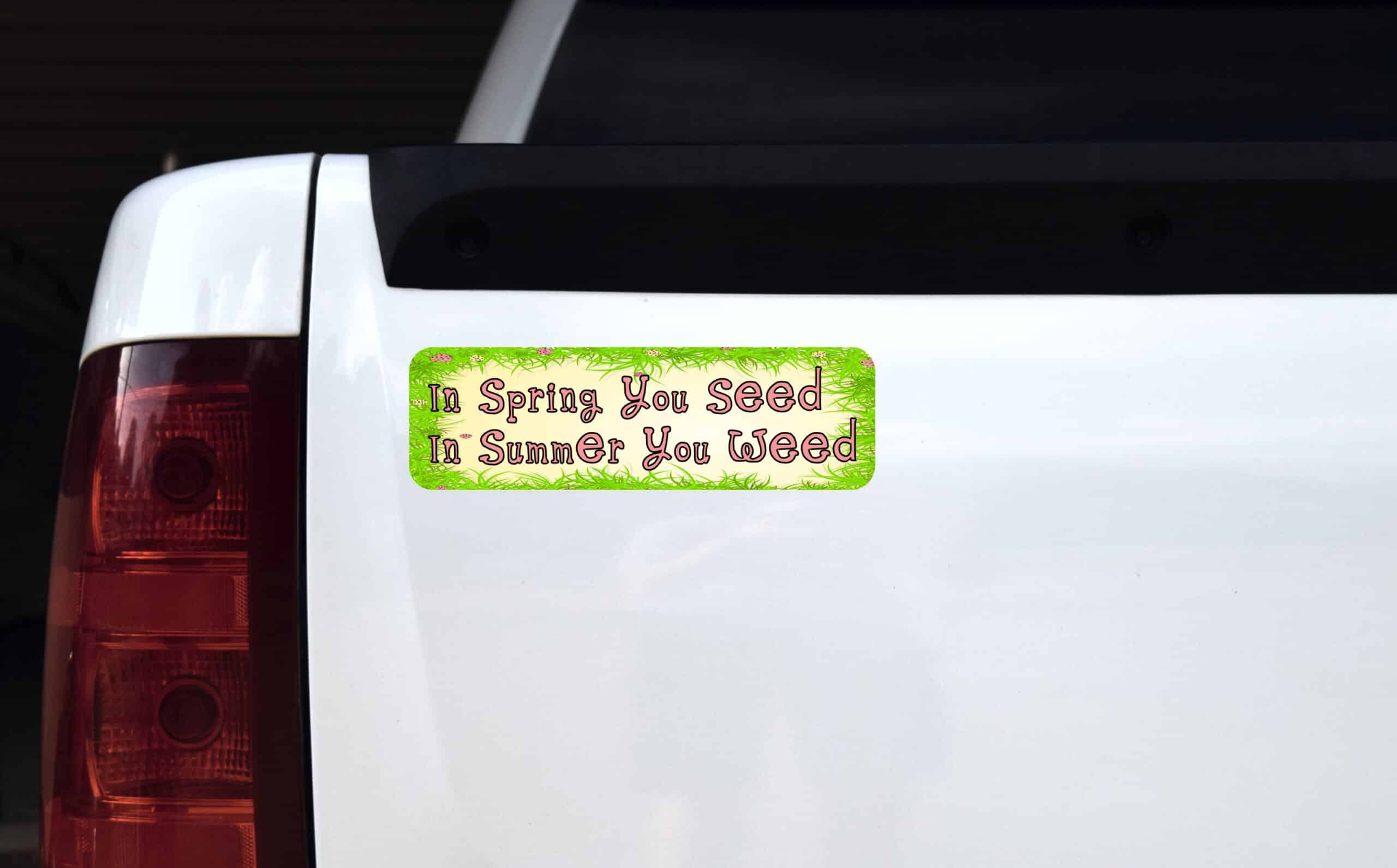 10in x 3in Spring You Seed Bumper Sticker Vinyl Truck Car Window Stickers