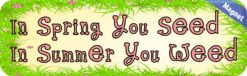 10in x 3in Spring You Seed Bumper Sticker Vinyl Truck Car Window Stickers