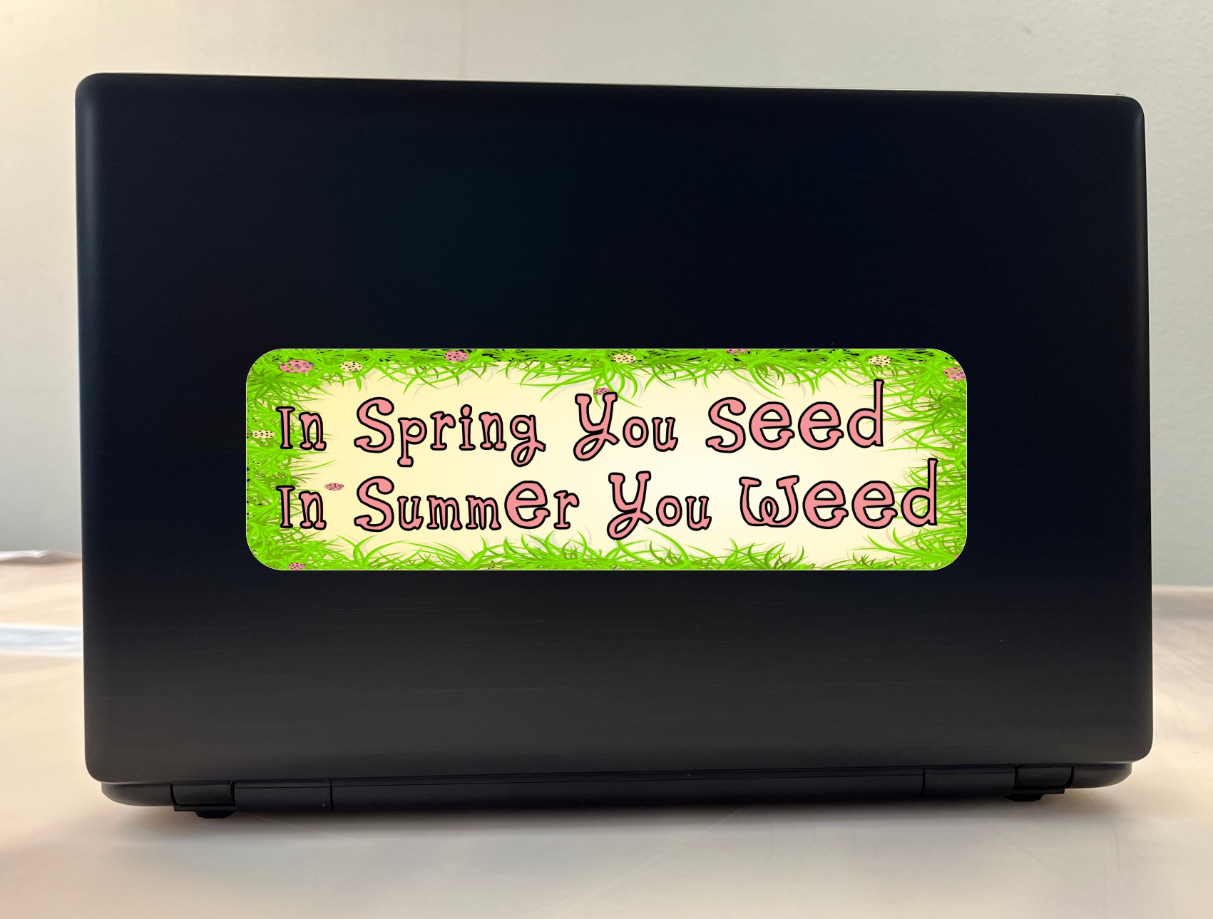 10in x 3in Spring You Seed Magnet Door Magnetic Vehicle Season Magnets