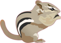 Die Cut Chipmunk sticker