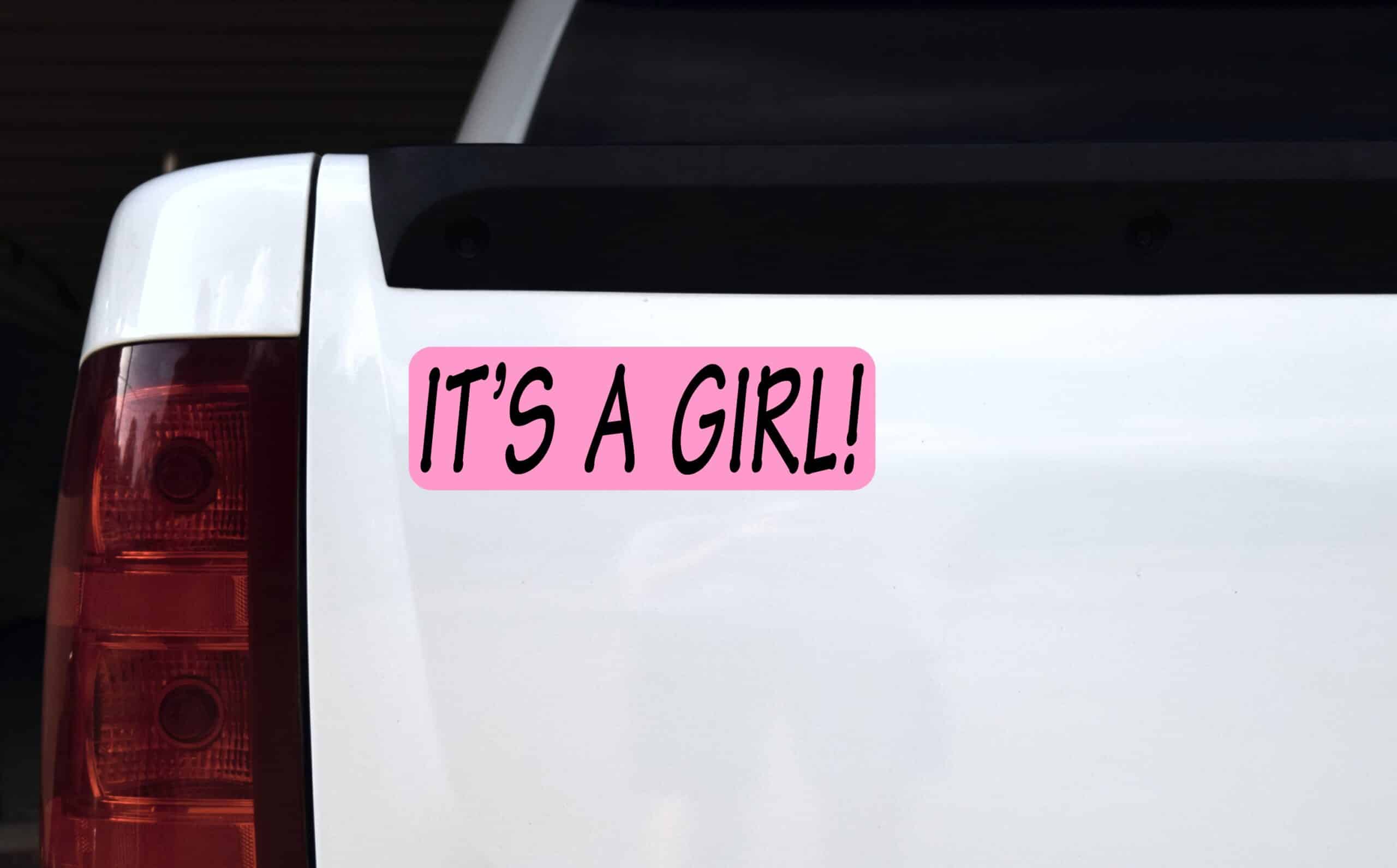 10in x 3in Pink Its A Girl Magnet