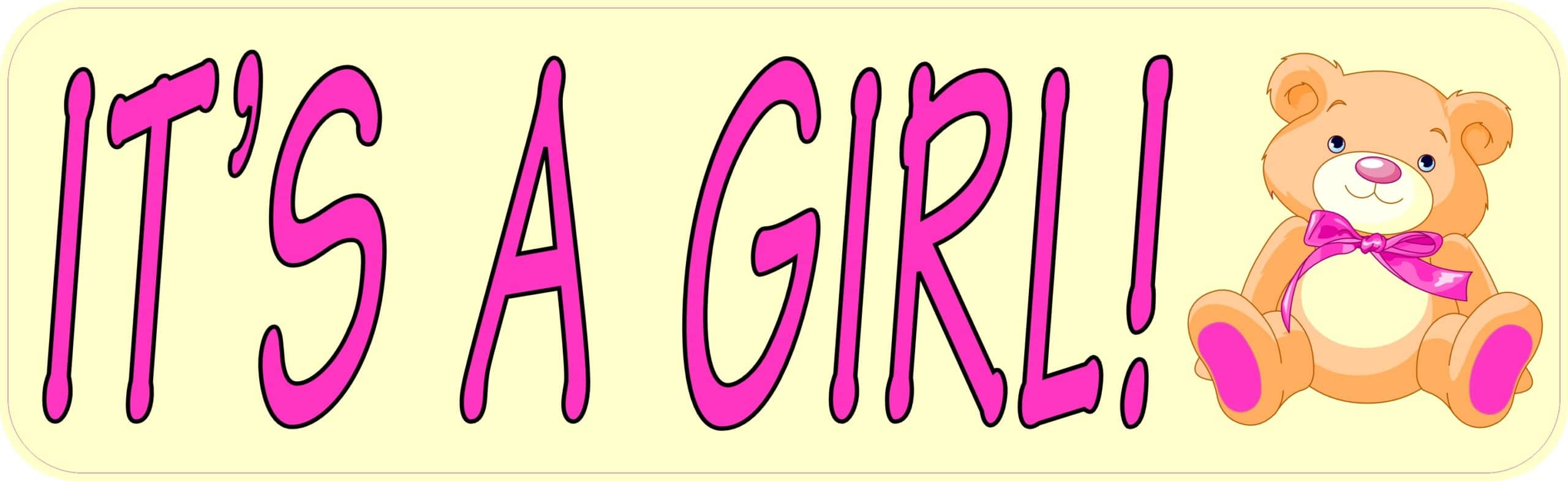 10in x 3in Teddy Bear Its A Girl Magnet
