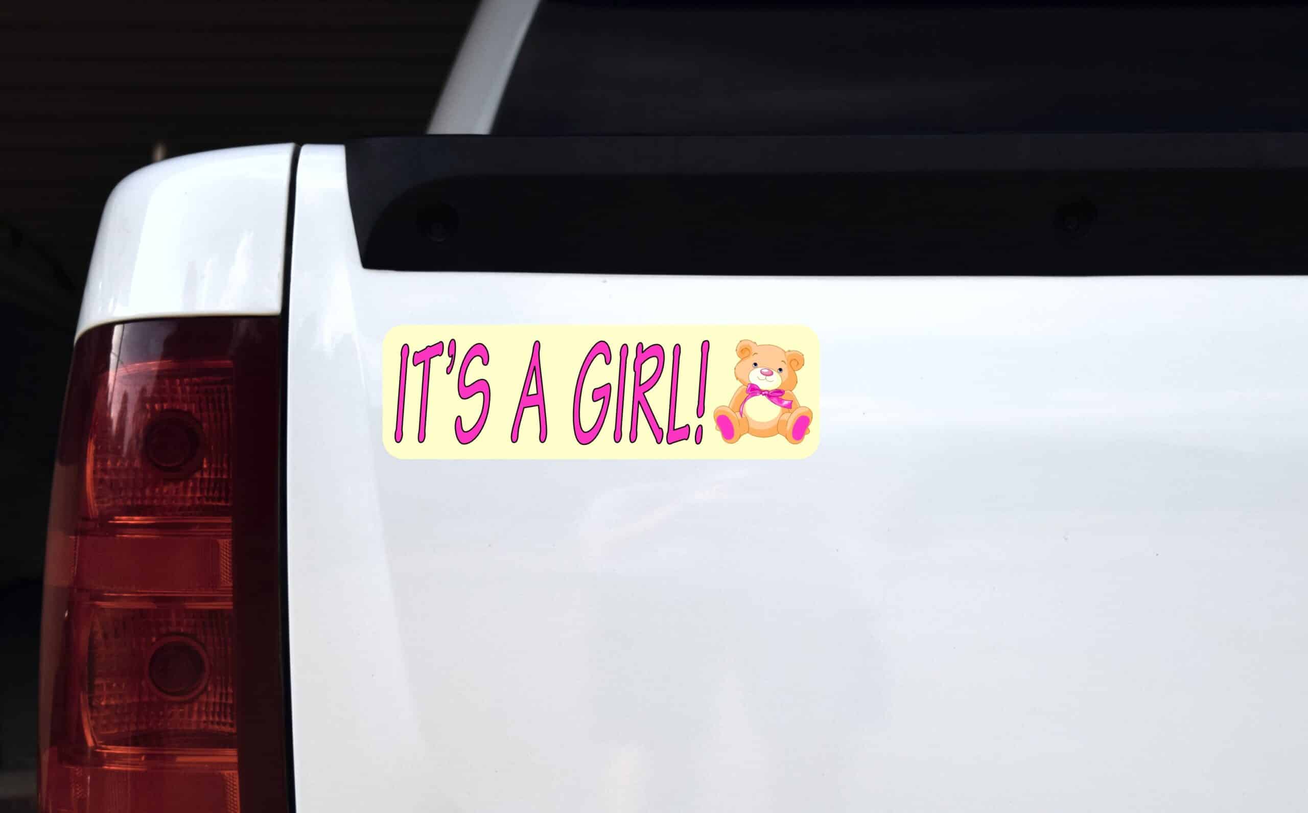 10in x 3in Teddy Bear Its A Girl Magnet