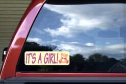 10in x 3in Teddy Bear Its A Girl Bumper Sticker
