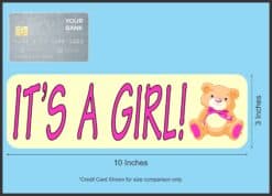 10in x 3in Teddy Bear Its A Girl Magnet