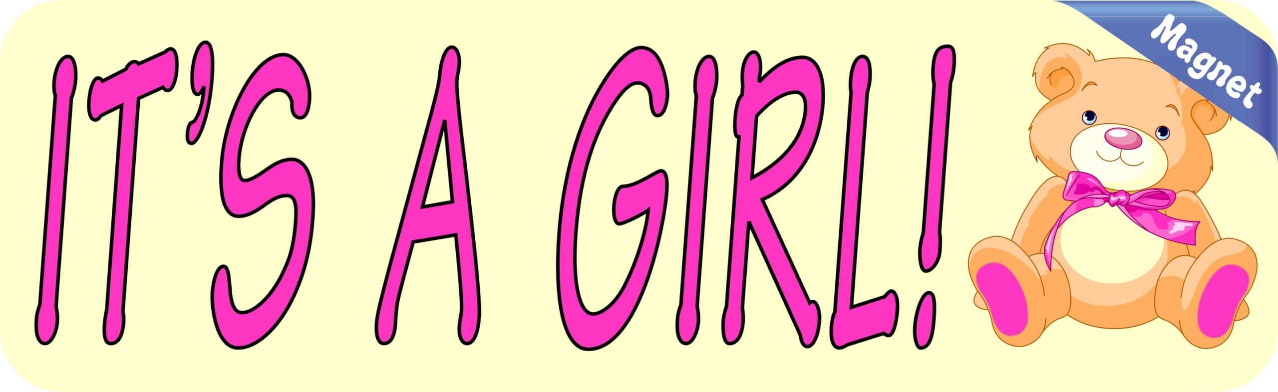 10in x 3in Teddy Bear Its A Girl Magnet