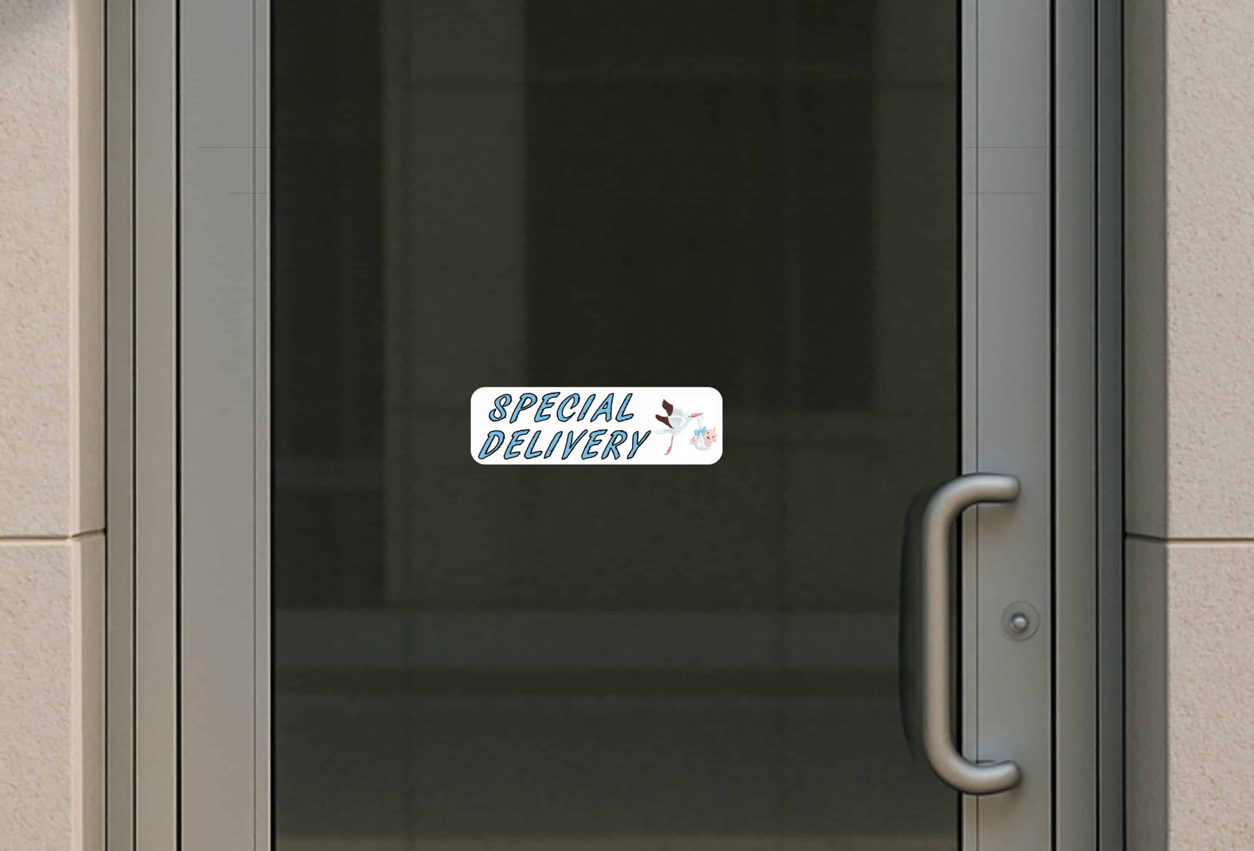 10in x 3in Blue Special Delivery Bumper Sticker Vinyl Vehicle Baby Stickers