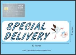 10in x 3in Blue Special Delivery Bumper Sticker Vinyl Vehicle Baby Stickers