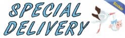 10in x 3in Blue Special Delivery Bumper Sticker Vinyl Vehicle Baby Stickers