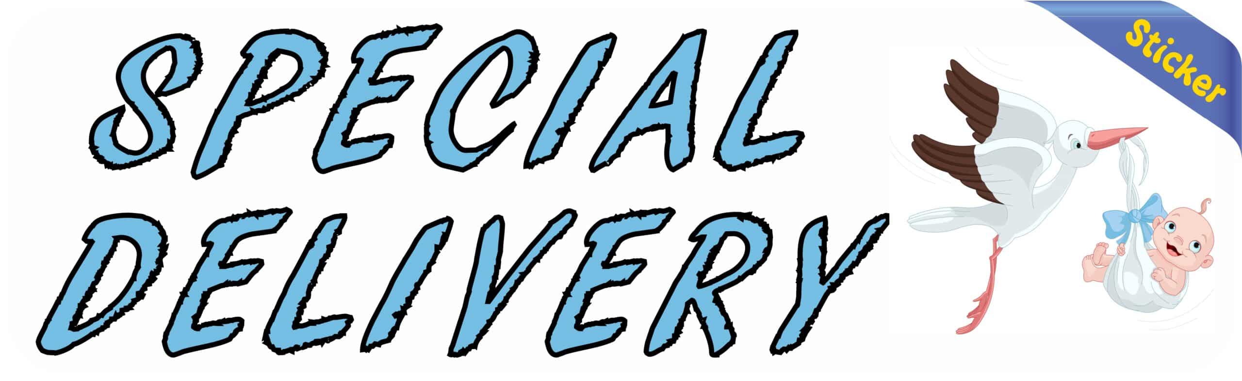 10in x 3in Blue Special Delivery Bumper Sticker Vinyl Vehicle Baby Stickers