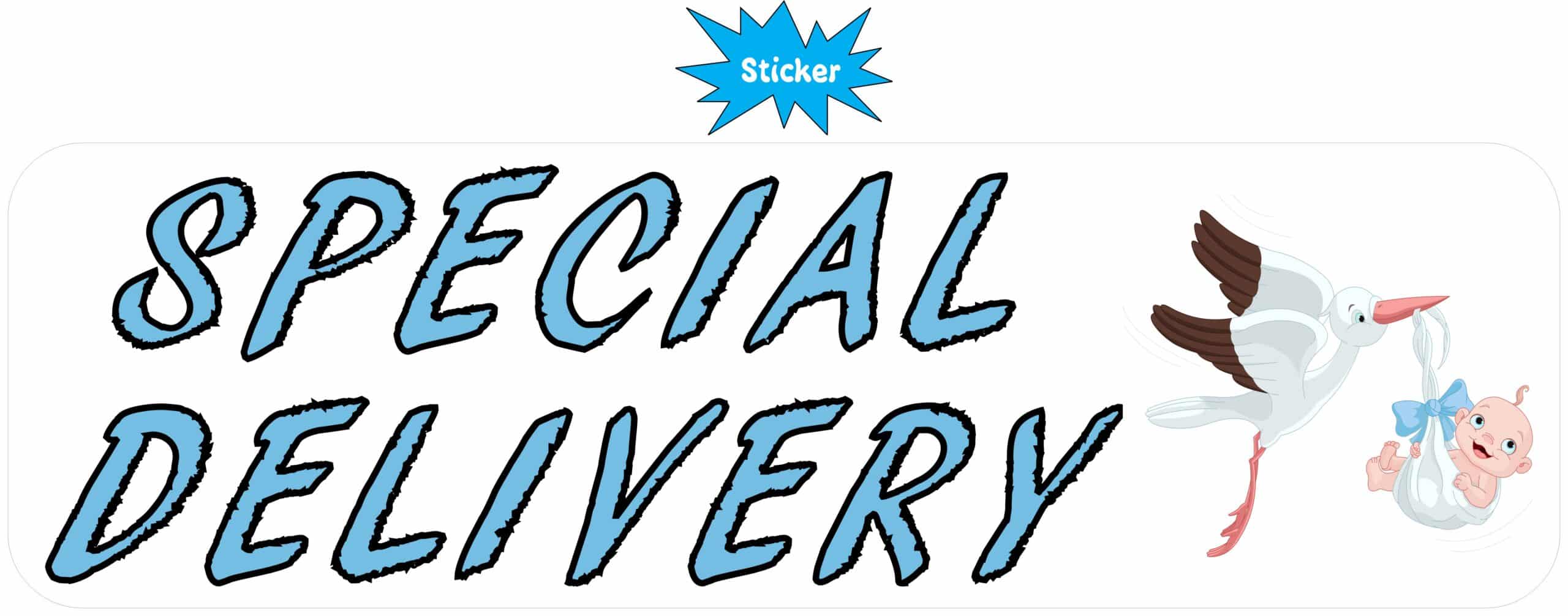 10in x 3in Blue Special Delivery Bumper Sticker Vinyl Vehicle Baby Stickers