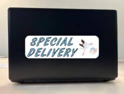 10in x 3in Blue Special Delivery Bumper Sticker Vinyl Vehicle Baby Stickers