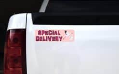 10in x 3in Pink Special Delivery Magnet Magnetic Baby Boy Bumper Magnets