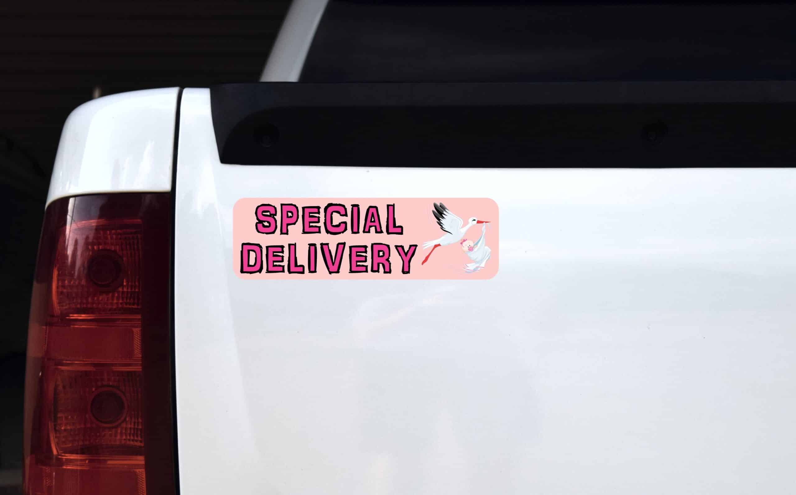 10in x 3in Pink Special Delivery Magnet Magnetic Baby Boy Bumper Magnets