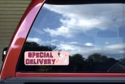 10in x 3in Pink Special Delivery Bumper Sticker Vinyl Baby Car Stickers