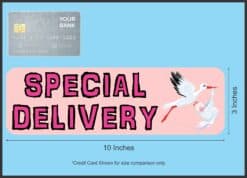 10in x 3in Pink Special Delivery Bumper Sticker Vinyl Baby Car Stickers