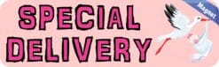 10in x 3in Pink Special Delivery Magnet Magnetic Baby Boy Bumper Magnets