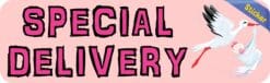 10in x 3in Pink Special Delivery Bumper Sticker Vinyl Baby Car Stickers