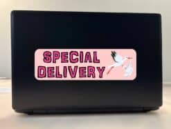 10in x 3in Pink Special Delivery Bumper Sticker Vinyl Baby Car Stickers