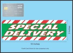 10in x 3in Special Delivery Magnet Magnetic Christmas Vehicle Bumper Magnets