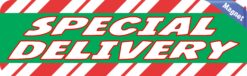 10in x 3in Special Delivery Magnet Magnetic Christmas Vehicle Bumper Magnets