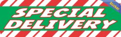 10in x 3in Special Delivery Sticker Vinyl Christmas Vehicle Bumper Stickers