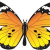 Bright Orange Butterfly sticker