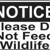 wildlife