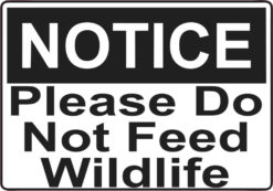 wildlife