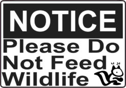 wildlife