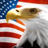 American flag eagle