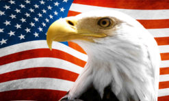 American flag eagle