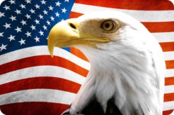 american flag sticker