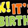 10in x 3in Honk Its My 50th Birthday Bumper Sticker