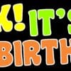 Honk Its My 60th Birthday Magnet, 10 by 3 inches