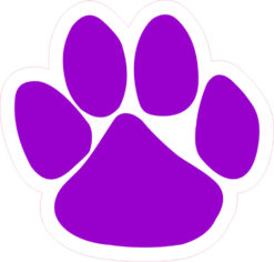 Purple Paw bumper sticker