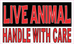 live animal