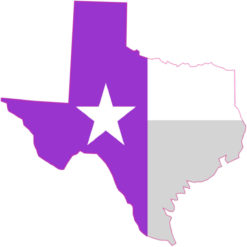 texas sticker