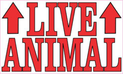 Red Live Animal sticker