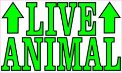 live animal magnet