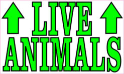 live animals magnet