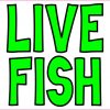 live fish magnet