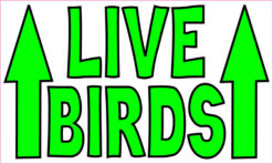 Live Birds Magnet